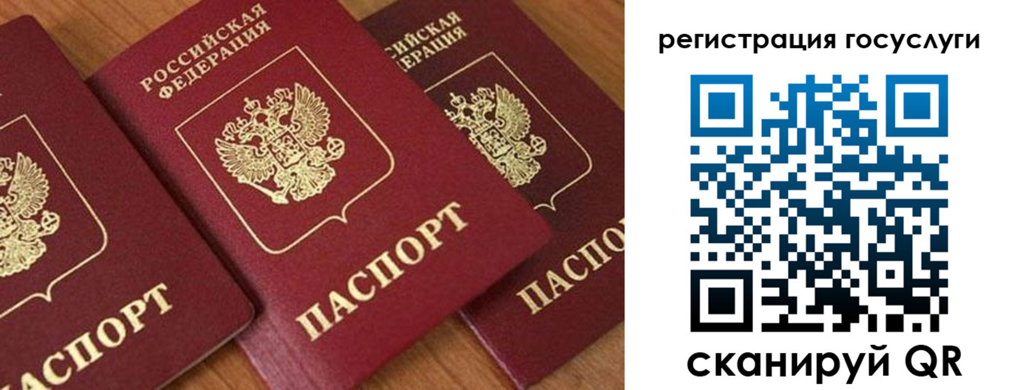 временная регистрация гарантия в Рыбном